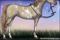 Horse Color:White Spotted Liver Red Dun 