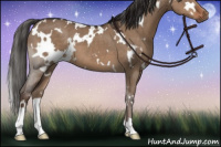 Horse Color:White Spotted Liver Red Dun 