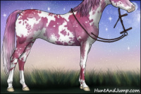 Horse Color:Watercolor White Spotted Liver Chestnut Splash 