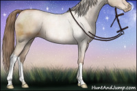 Horse Color:Liver Chestnut Pearl 