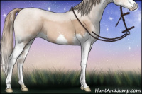 Horse Color:Liver Chestnut Pearl Splash 