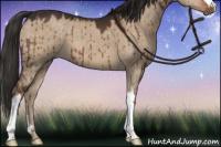Horse Color:Liver Red Dun Brindle 