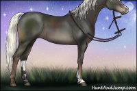 Horse Color:Liver Chestnut Mushroom Sabino 