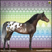 Horse Color:Brown Appaloosa