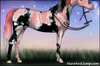 Horse Color:Watercolor White Spotted Liver Red Dun Ice 
