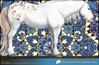 Horse Color:White Spotted Liver Red Onyx Sabino Splash Appaloosa  and White Spotted Liver Red Onyx Sabino Splash Appaloosa 