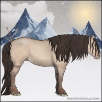 Horse Color:Amber Champagne Dun 