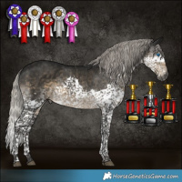 Horse Color:Gray Silver Smoky Black Splash Tobiano 