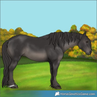 Horse Color:Platinum Smoky Black