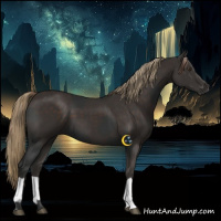 Horse Color:Liver Chestnut  and Liver Chestnut 