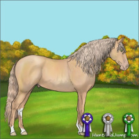 Horse Color:Gold Champagne
