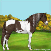 Horse Color:Liver Chestnut Tobiano Frame 