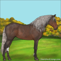 Horse Color:Silver Black Sabino