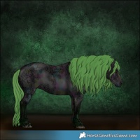 Horse Color:Watercolor Midnight Bay Ice Dun Rabicano 