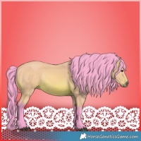 Horse Color:Watercolor Bay Rabicano 