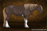 Horse Color:Liver Chestnut Tobiano Rabicano 
