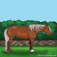 Horse Color:Silver Bay Tobiano Rabicano 