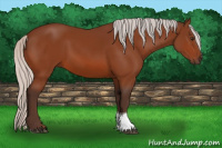 Horse Color:Silver Brown Tobiano Rabicano 