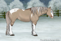 Horse Color:Silver Brown Dun Splash Tobiano Rabicano 