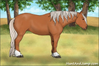 Horse Color:Silver Bay Tobiano Rabicano 