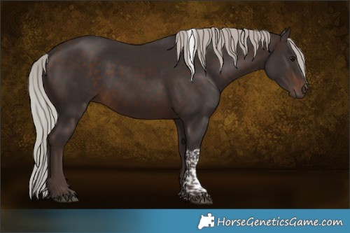 Horse Color:Silver Brown Tobiano Rabicano 