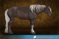 Horse Color:Silver Brown Tobiano Rabicano 