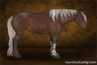 Horse Color:Silver Brown Tobiano Rabicano 