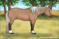 Horse Color:Silver Brown Dun Tobiano Rabicano 