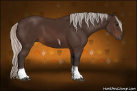 Horse Color:Silver Brown Tobiano Rabicano 