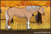 Horse Color:Silver Bay Dun Tobiano Rabicano 