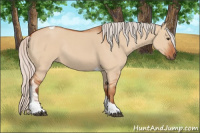 Horse Color:Silver Bay Dun Tobiano Rabicano 