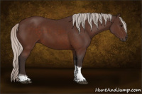 Horse Color:Silver Brown Tobiano Frame Rabicano 