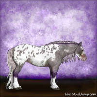 Horse Color:Watercolor Silver Brown Ice Roan Sabino Splash Frame Appaloosa Rabicano 