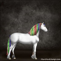 Horse Color:Gray Painted White Spotted Liver Chestnut Sabino Rabicano 