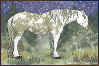 Horse Color:Watercolor Red Dun Sabino Appaloosa 