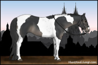 Horse Color:Black Tobiano