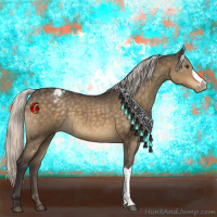 Horse Color:Silver Buckskin Dun Mushroom Appaloosa 