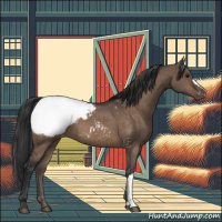 Horse Color:Brown Dun Snowcap Brindle 