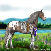 Horse Color:Silver Black Tobiano Frame Appaloosa