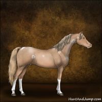 Horse Color:Liver Chestnut Pearl Tobiano 