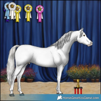 Horse Color:Liver Red Dun Mushroom Appaloosa Brindle 