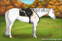 Horse Color:White Spotted Silver Amber Champagne Splash 