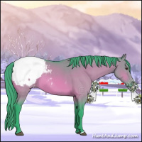 Horse Color:Watercolor Brown Dun Snowcap Brindle 