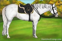 Horse Color:White Spotted Silver Bay Splash 