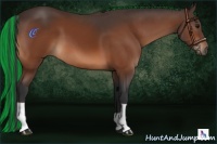 Horse Color:Painted Bay 
