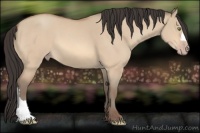 Horse Color:Amber Champagne Dun 