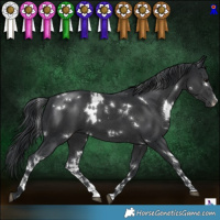 Horse Color:White Spotted Black