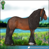 Horse Color:Brown 