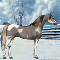 Horse Color:Red Dun Tobiano Rabicano  and Grullo Tobiano Rabicano 