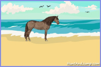 Horse Color:Liver Red Dun Brindle 